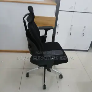 Modern Back Support Dual Orthopedic Seat