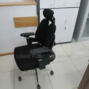 Modern Back Support Dual Orthopedic Seat