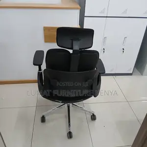 Modern Back Support Dual Orthopedic Seat