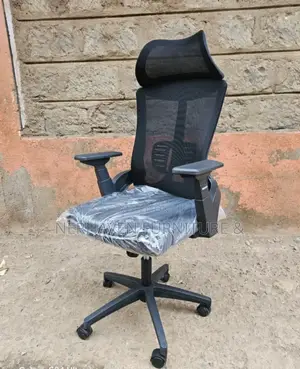 Lumbar Support Ergonomic Office Chair
