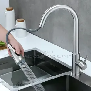 Stainless Pulldown Kitchen Mixer Tap
