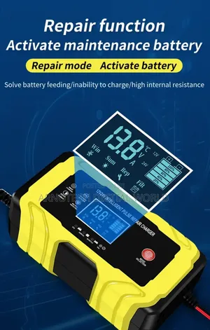 Automatic Switch 12v/24v Intelligent Charger