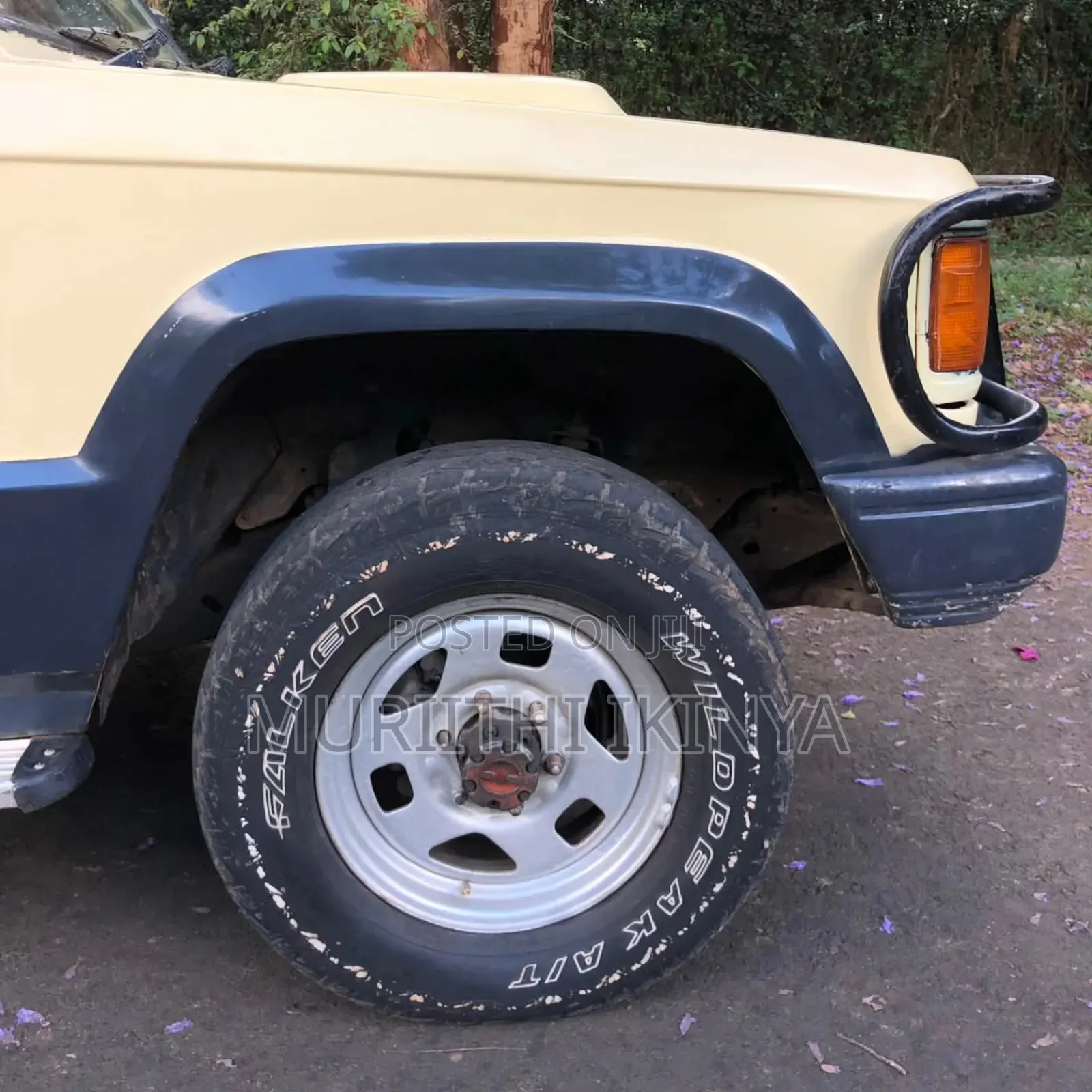 Isuzu Trooper 1994 Beige