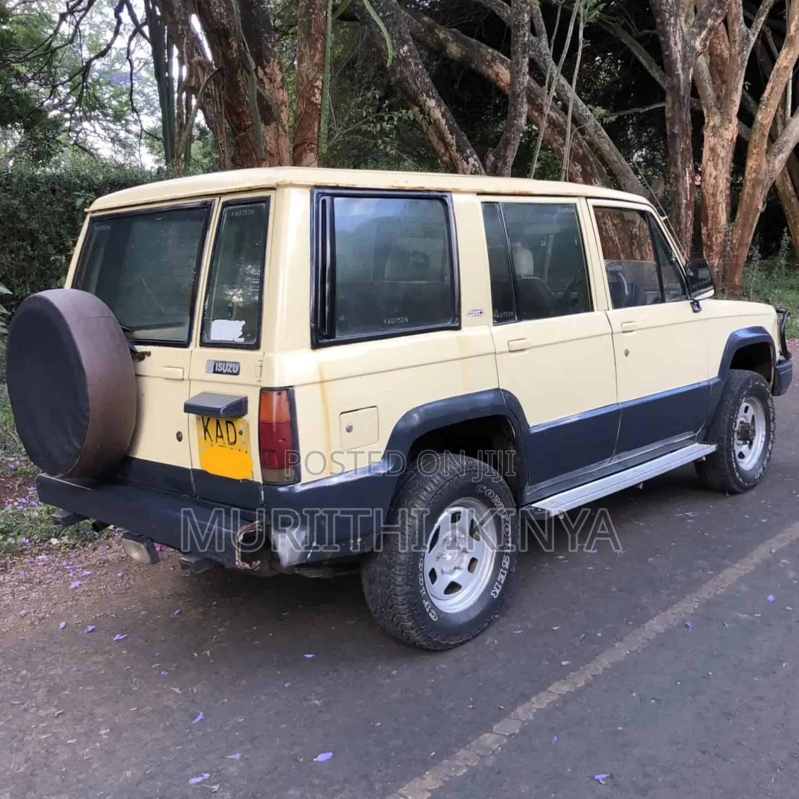 Isuzu Trooper 1994 Beige