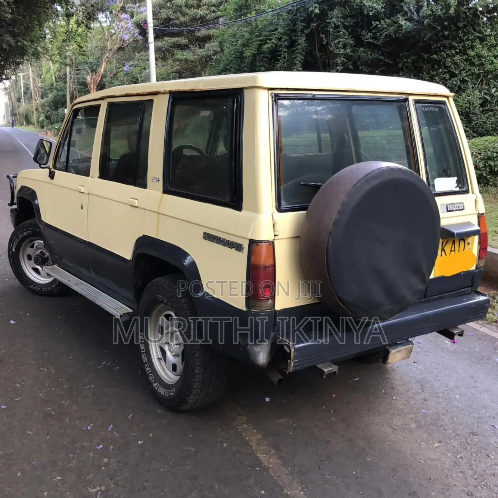 Isuzu Trooper 1994 Beige