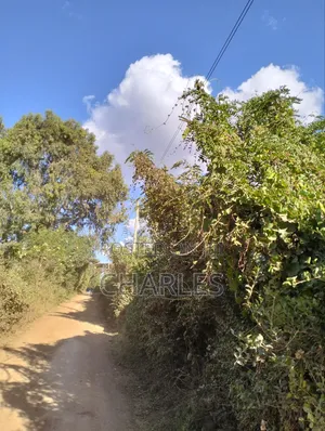 Ngong Town One Acre Land for Sale