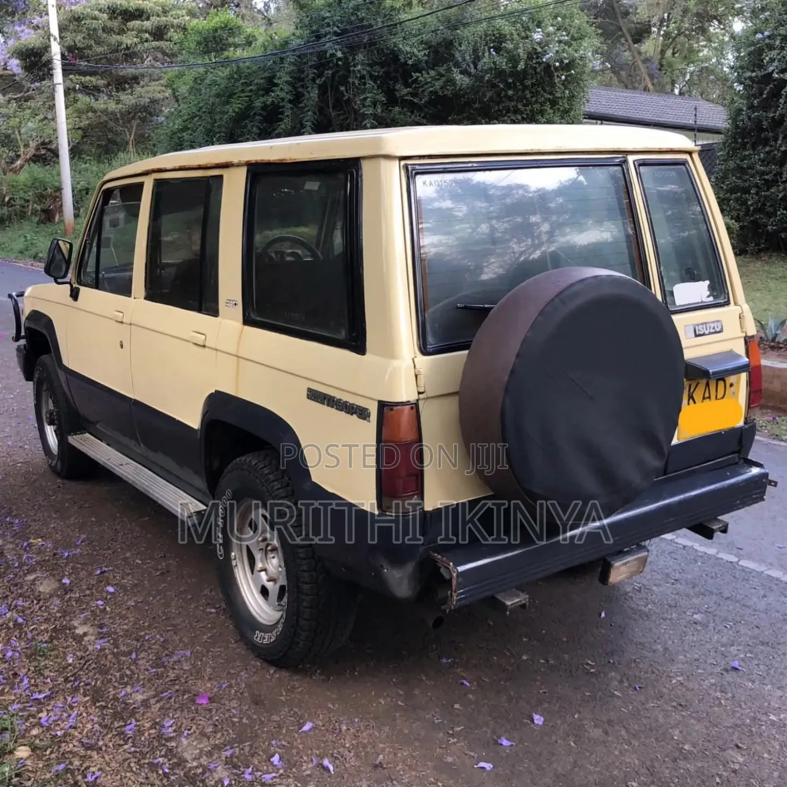Isuzu Trooper 1994 Beige