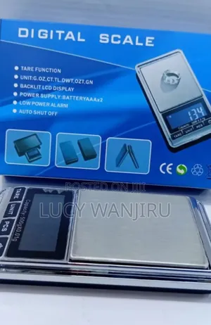 Digital Weighing Scale / Portable Scale