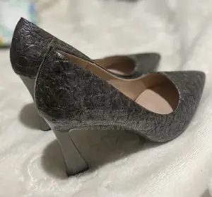 Latest Point Toe Stiletto Pumps Slip on High Heel Women Shoes