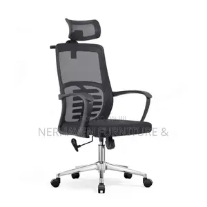 Back Support Office/Study Chair