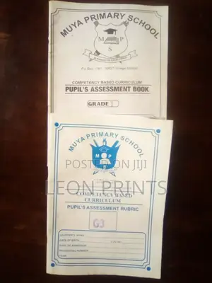 School Diaries/Assessment Books