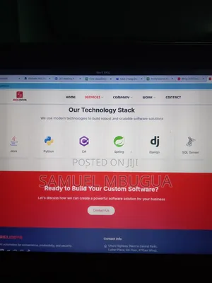 Professional Website Development Services Fast!