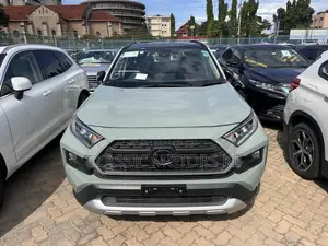 Toyota RAV4 Adventure 2019 Beige