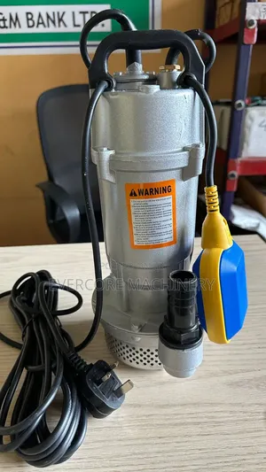 Electric Submersible Pump 0.5hp With Float Switch 22metres