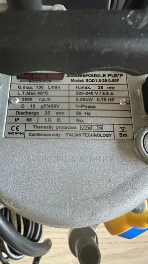 Electric Submersible Pump 0.5hp With Float Switch 22metres