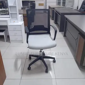 Adjustable Mesh Desk Chair