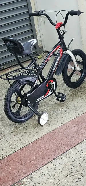 Bike Size 16 With Chrome Rims