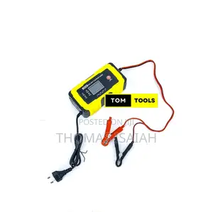 12v 24v Automatic Intelligent Battery Pulse Repair Trickle Charger