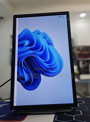 Dell 24 Inch Monitor