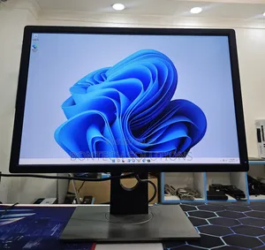 Dell 24 Inch Monitor