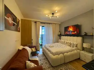 Reliable and Luxurious Studio Airbnb Available in South B