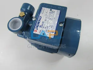 Water Pump Buster Pedrollo