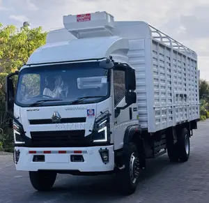 Howo Sinotruck H3