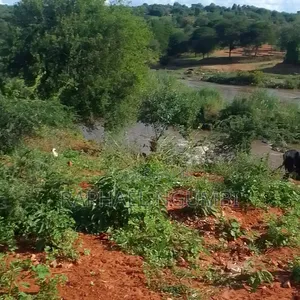 5 Acres at Thika River at Ekalakala