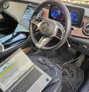 Remapping and Adblue Reset割