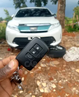 Harrier 2019 Key Replacement 