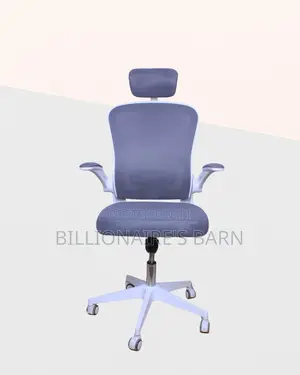 Home Office Orthopedic Great Chair for White | Comfort Meets Style