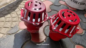 Footvalve/Bottom Valve/Suction Strainer