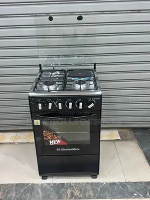 Electromate Standing Cooker