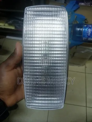 Bulbs Types Roof Lamp
