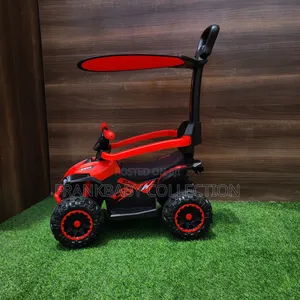 Push Handle Ride-on Car, With Sun Canopy