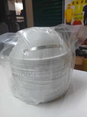 Dust & Filter Mask