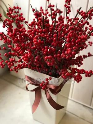 Decor Red Beery Branches