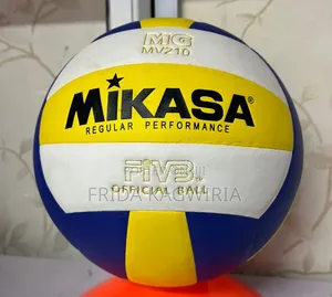 Mikasa Volleyball 
Mv210