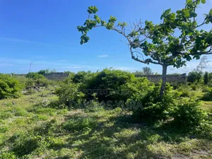 Half an Acre in Watamu