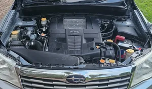 Subaru Forester 2010 Silver