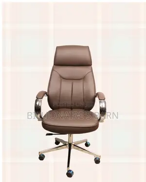 Stylish Imported Lumbar | Support | Order Yours Today