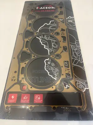 Cylinder Gasket Vw and Audi