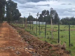 Leshau, Nyahururu Prime Plots