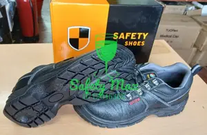 Hi View Safety Shoes/en Iso 20345