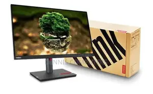 Lenovo Thinkvision P24h-30 QHD Monitor