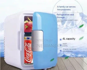 Ac/Dc Car Fridge 4l Capacity  / New Portable Car Fridge