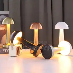 Rechargeable, Cordless Led Table Lamp With a Metal Body