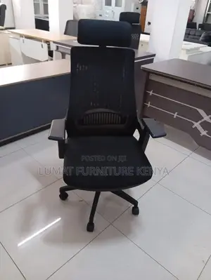 Health-Focused Office Chair