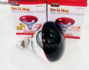 Chicken Bulb 6000h