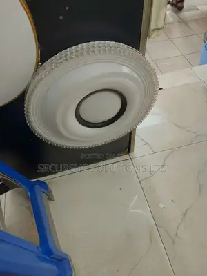 Decorative Led Ceiling Light.